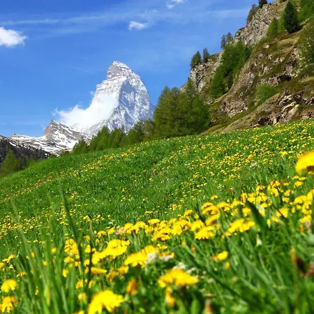 Haus Findelbach - Apt- Happy Lily By Interhome Apartamento Zermatt